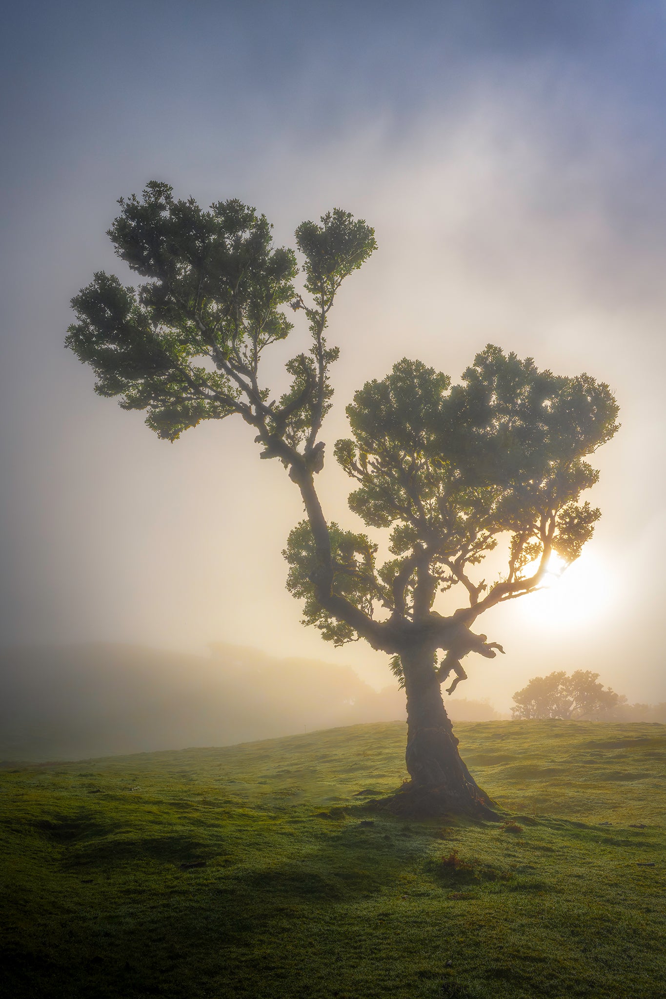 Magical Madeira Photography Workshop - 23rd to 29th November 2025 - 6 nights/5 days tuition